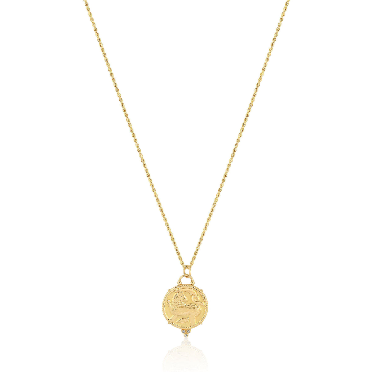 lion medallion | luxe